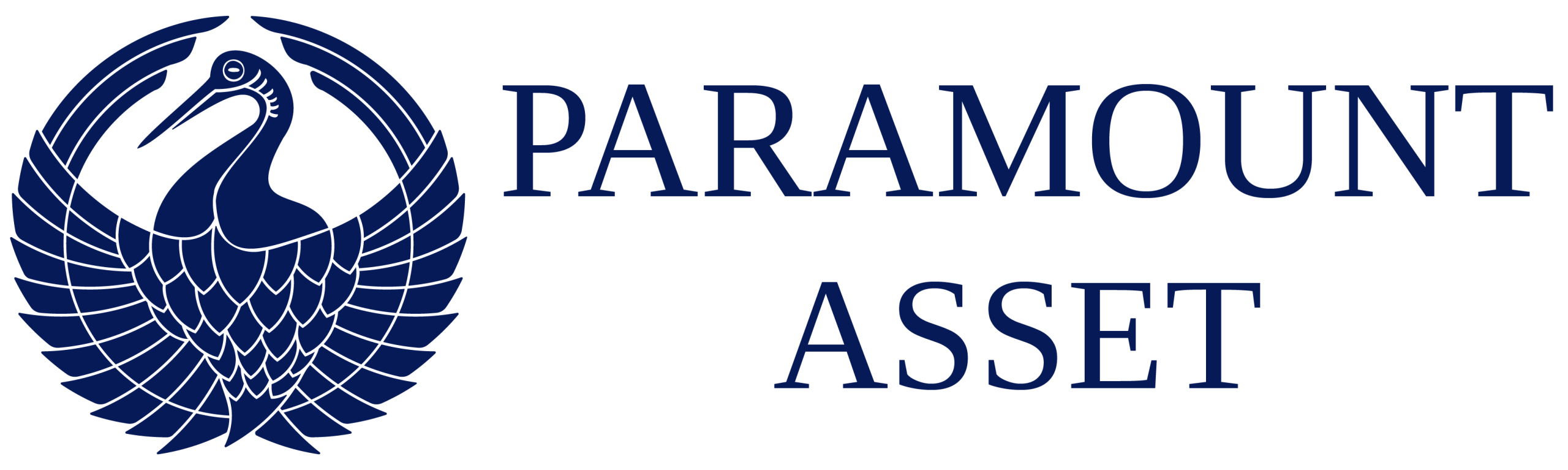 paramount asset N-03